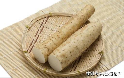 山药最忌讳的三种食物，避免影响身体健康