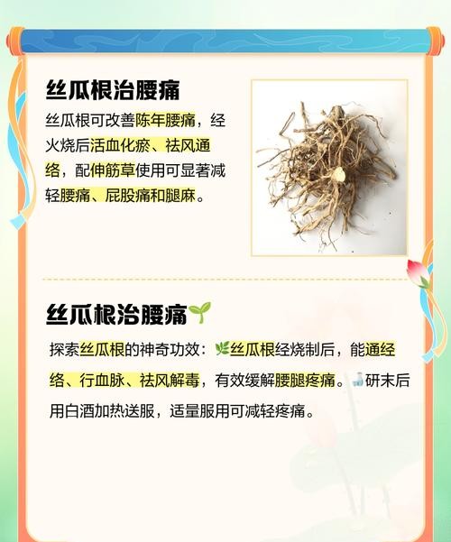 丝瓜根的功效与作用，这些惊人好处你一定不知道！