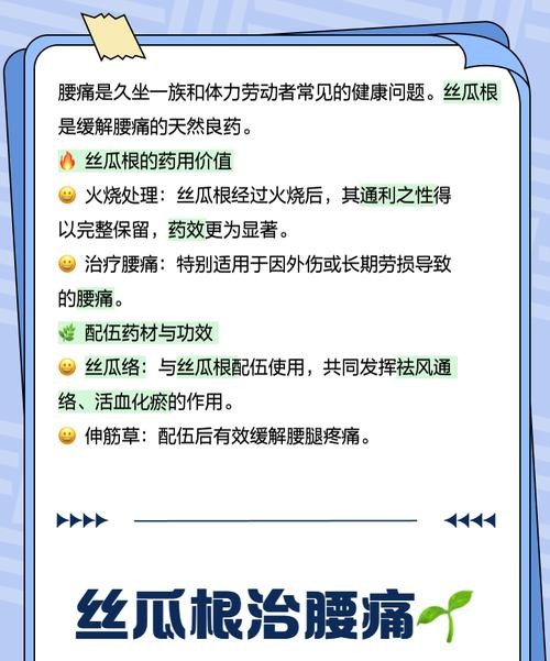 丝瓜根的功效与作用，这些惊人好处你一定不知道！