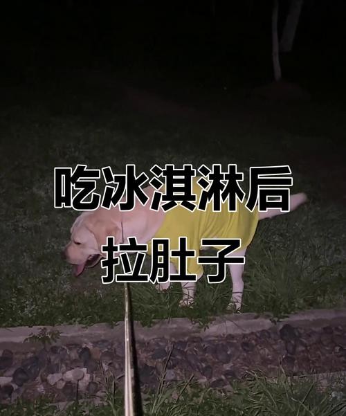 吃冰淇淋后拉肚子的原因及快速缓解方法