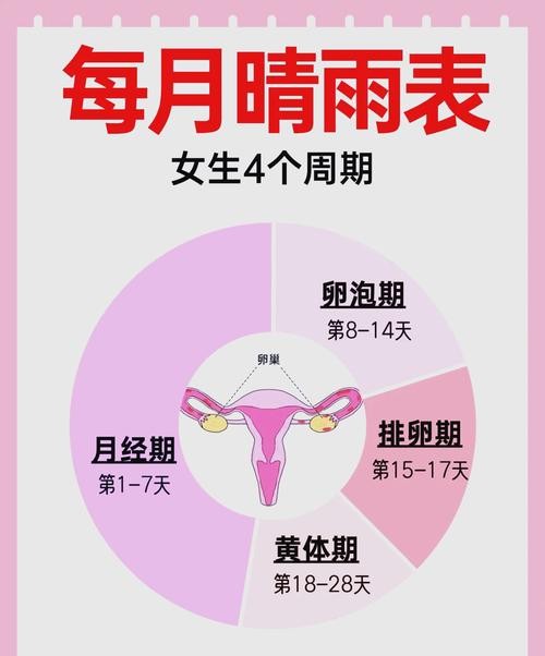月经期和排卵期有什么区别和联系