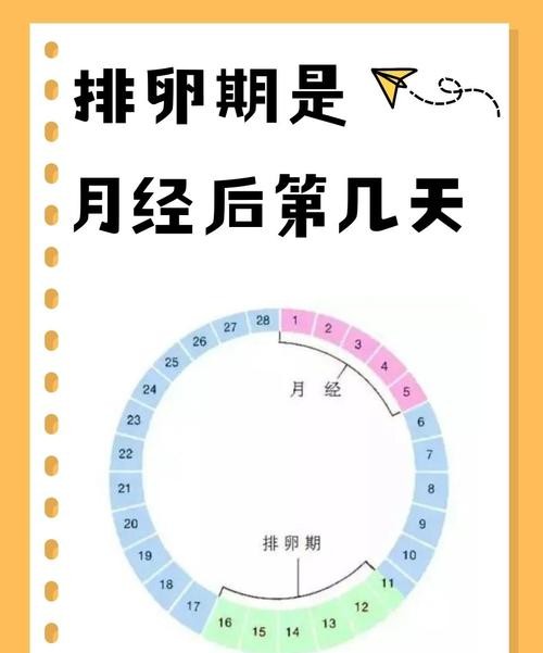 月经期和排卵期有什么区别和联系