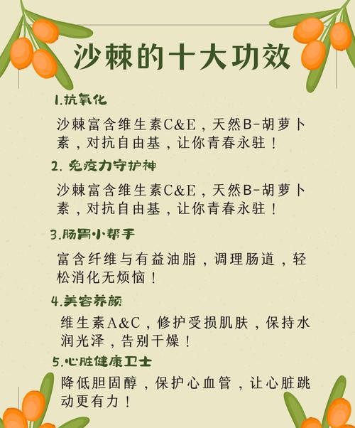 沙棘原浆辟谷减肥食谱搭配与效果分析