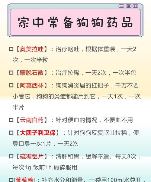 狗狗又吐又拉稀？这些药物能救急！
