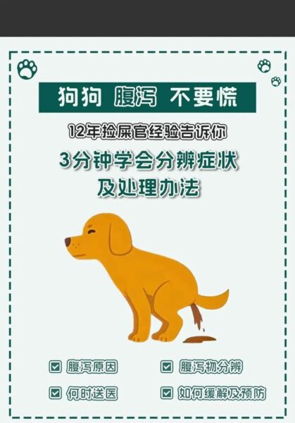 狗狗为什么拉肚子？这5个原因让主人心疼又着急！