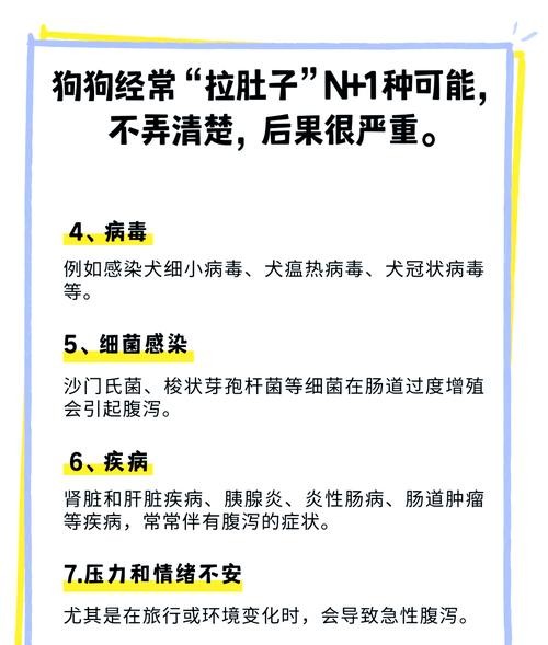 狗狗为什么拉肚子？这5个原因让主人心疼又着急！