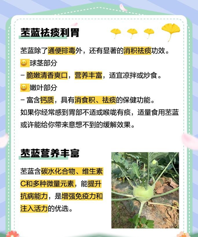 苤蓝的功效与作用，这些惊人好处你一定不知道！