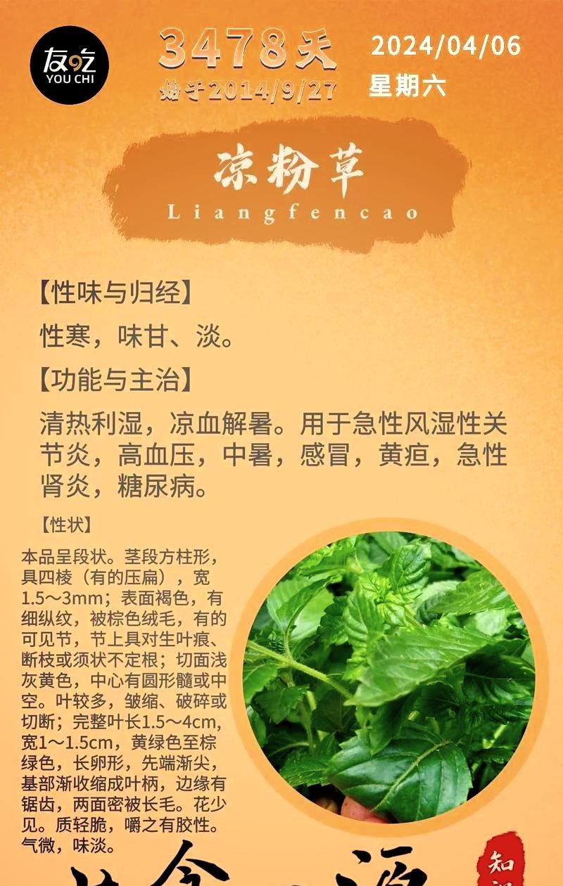 凉粉草的功效与作用，这些神奇效果你绝对想不到！