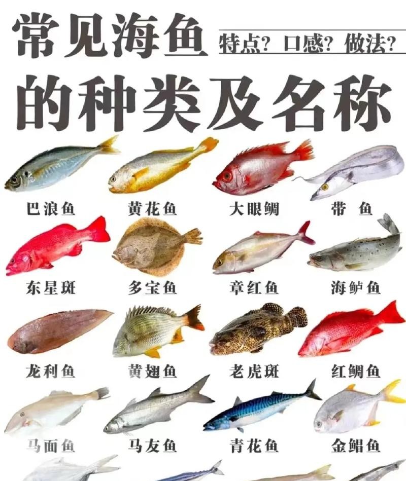 减肥食谱必备！深海鱼助你轻松瘦身