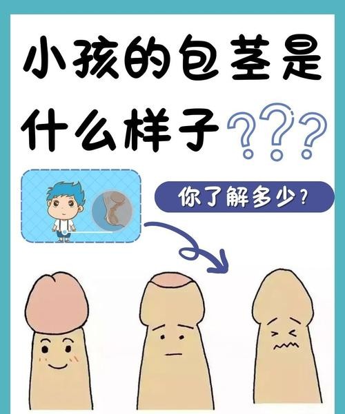 包皮过长真的会导致阴茎短小吗？真相让你大吃一惊！