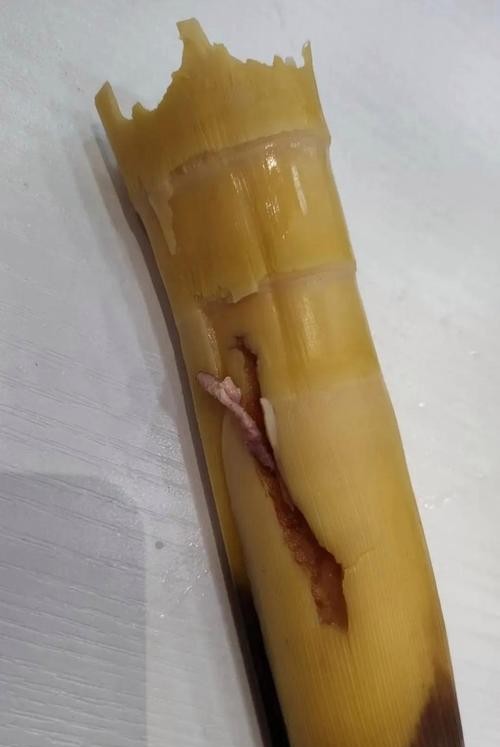 吃了笋拉肚子？这5个原因你一定要知道！