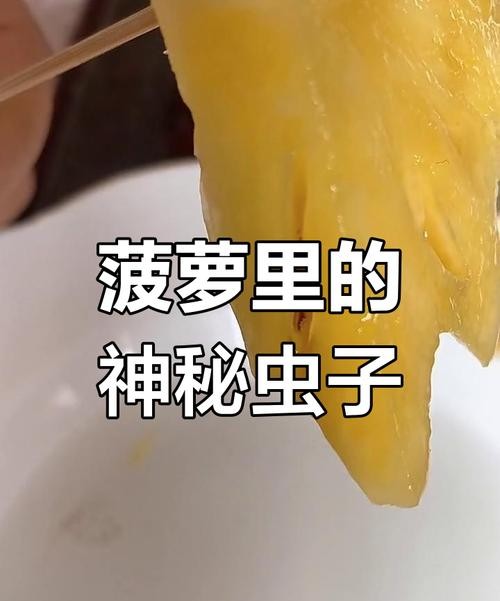 吃凤梨拉肚子？这些真相你一定要知道！