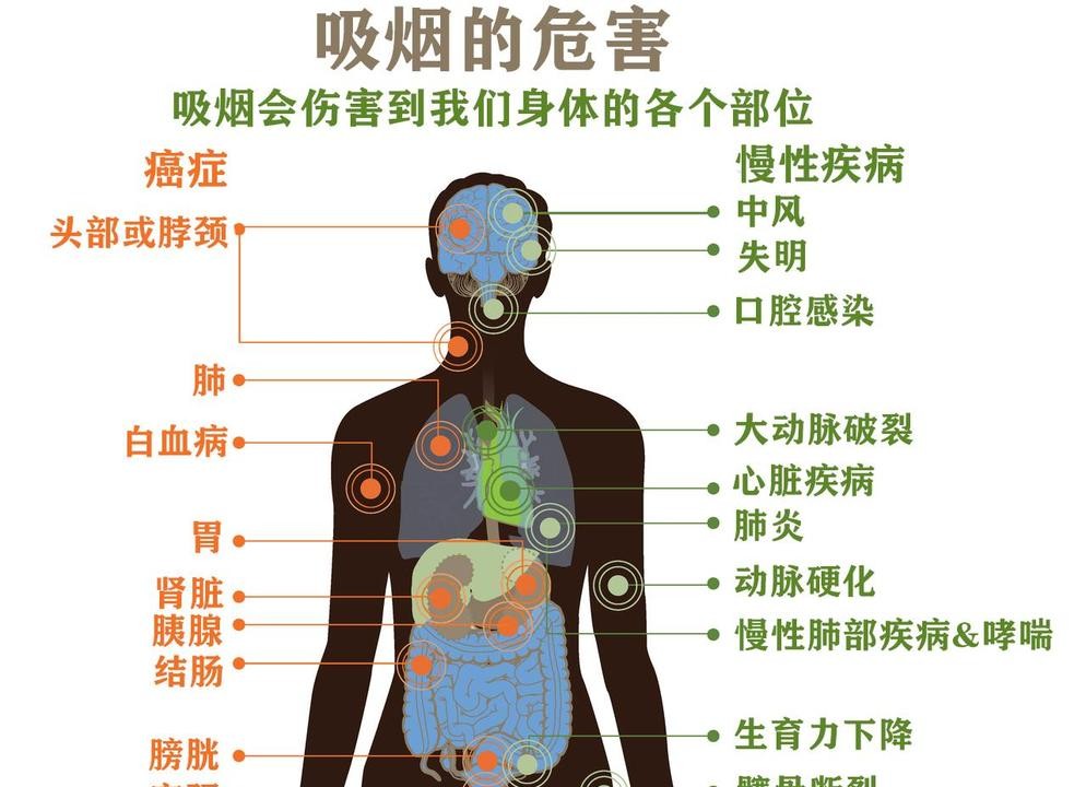 吸烟危害有多大？看完这个你绝对不敢再碰！