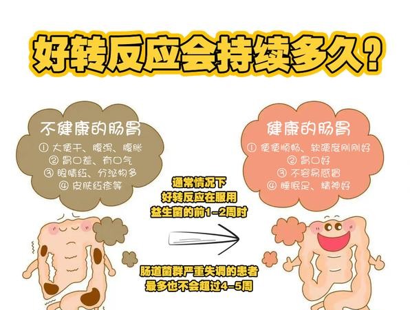 喝了益生菌拉肚子？这可能是身体在排毒！