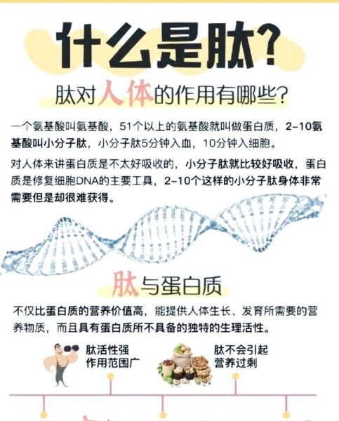 小分子肽：揭秘其惊人功效与作用，让你健康翻倍！