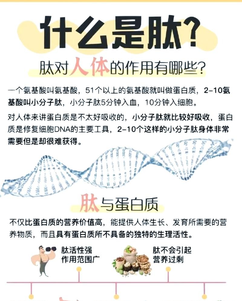 小分子肽：揭秘其惊人功效与作用，让你健康翻倍！