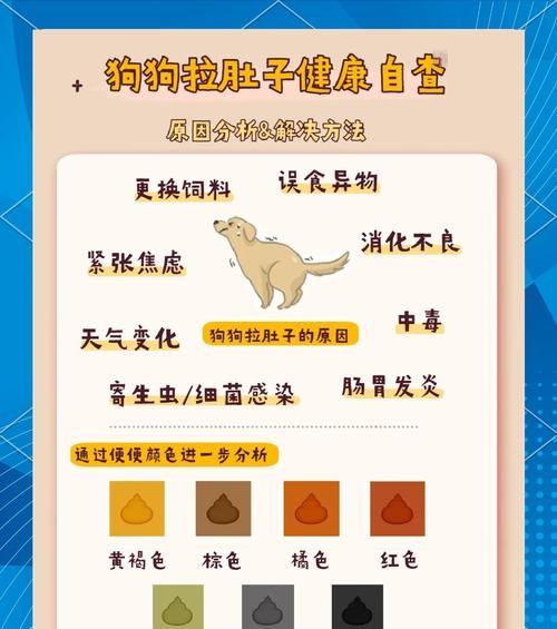 小狗拉肚子怎么回事？这些原因和应对方法你一定要知道！