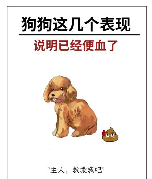 拉肚子有血怎么办？这些紧急处理方法必须知道！