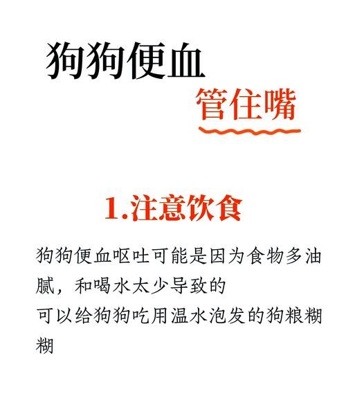拉肚子有血怎么办？这些紧急处理方法必须知道！