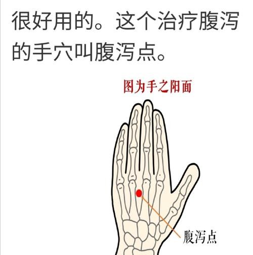 拉肚子别急着吃药！按这3个穴位，快速缓解不适