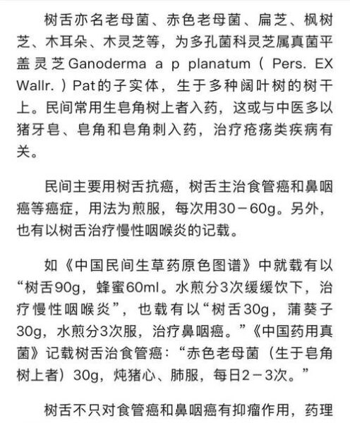 树舌的功效与作用，让你意想不到的健康益处！