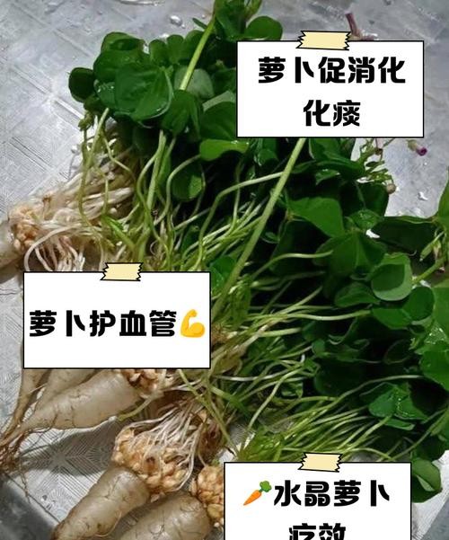 水萝卜的功效与作用，让你健康又美丽！