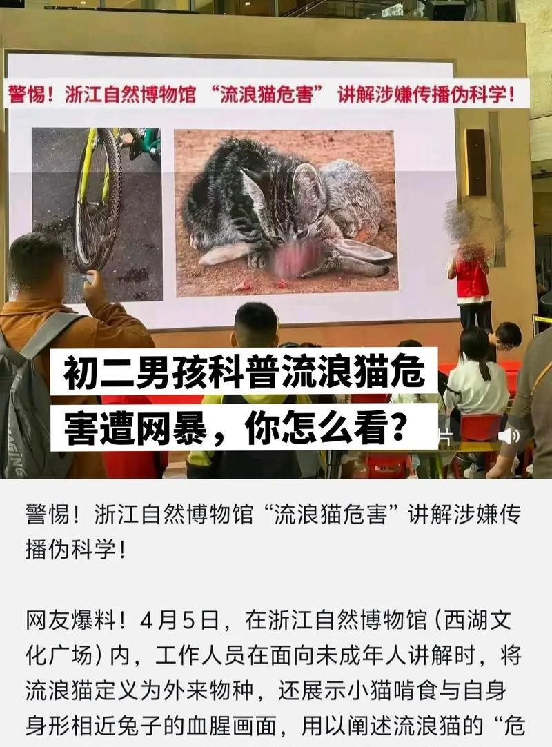 流浪猫危害有多大？这些真相让人震惊！