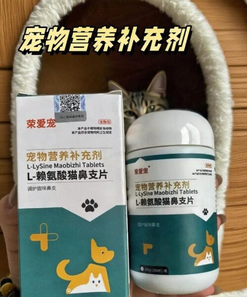 猫咪流鼻涕打喷嚏吃什么药？铲屎官必看用药指南