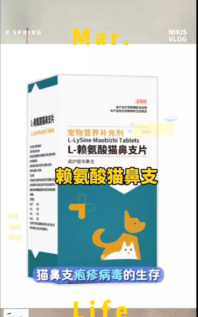 猫咪流鼻涕打喷嚏吃什么药？铲屎官必看用药指南