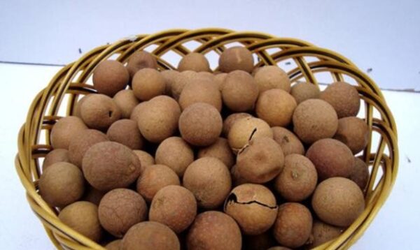 痛风患者必看！桂圆是敌是友？