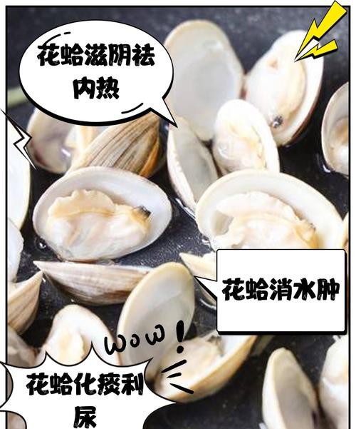 经期能吃花蛤吗？专家解答让你安心吃！