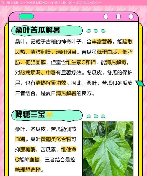 苦瓜干的惊人功效，排毒降糖还养颜！