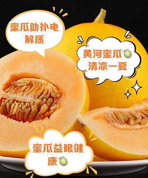 蜜瓜的惊人功效与作用，让你健康又美丽！